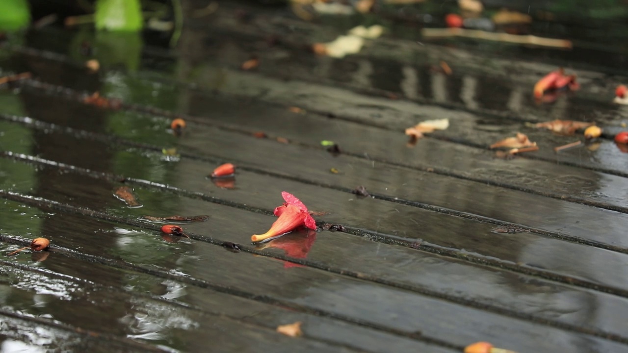 雨水落在橡木庭院的地板上。视频下载