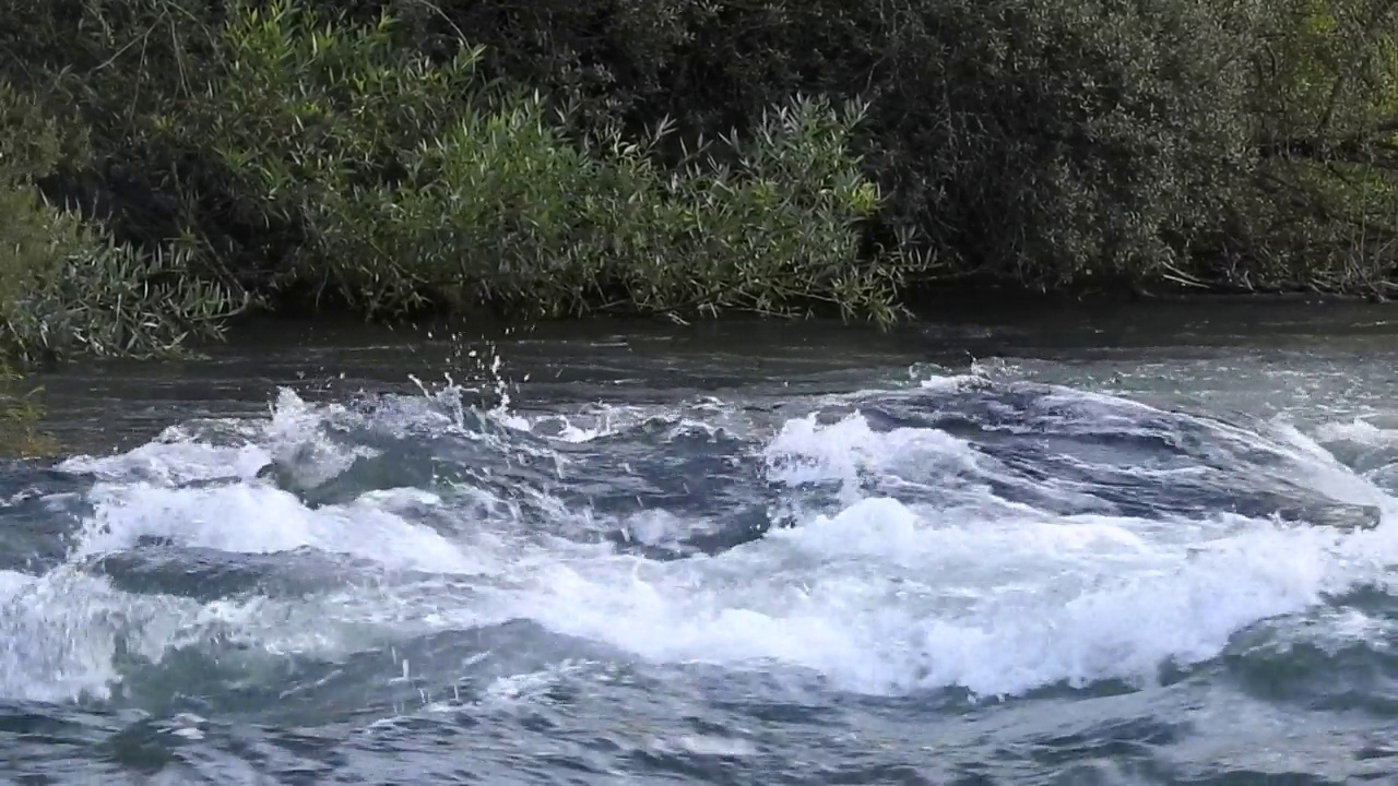 河水流着涡流视频素材