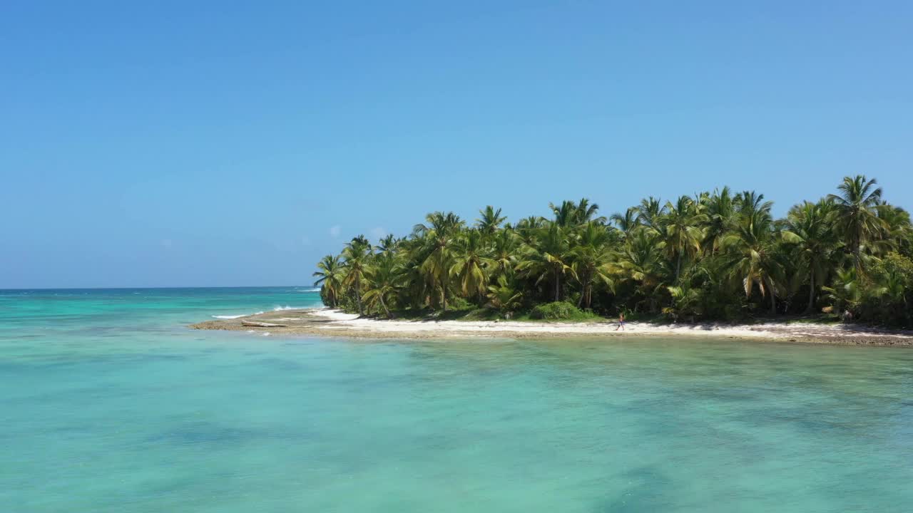 原始富饶的热带海岸线，椰子树和蓝绿色的加勒比海。美丽的旅游目的地。鸟瞰图视频素材