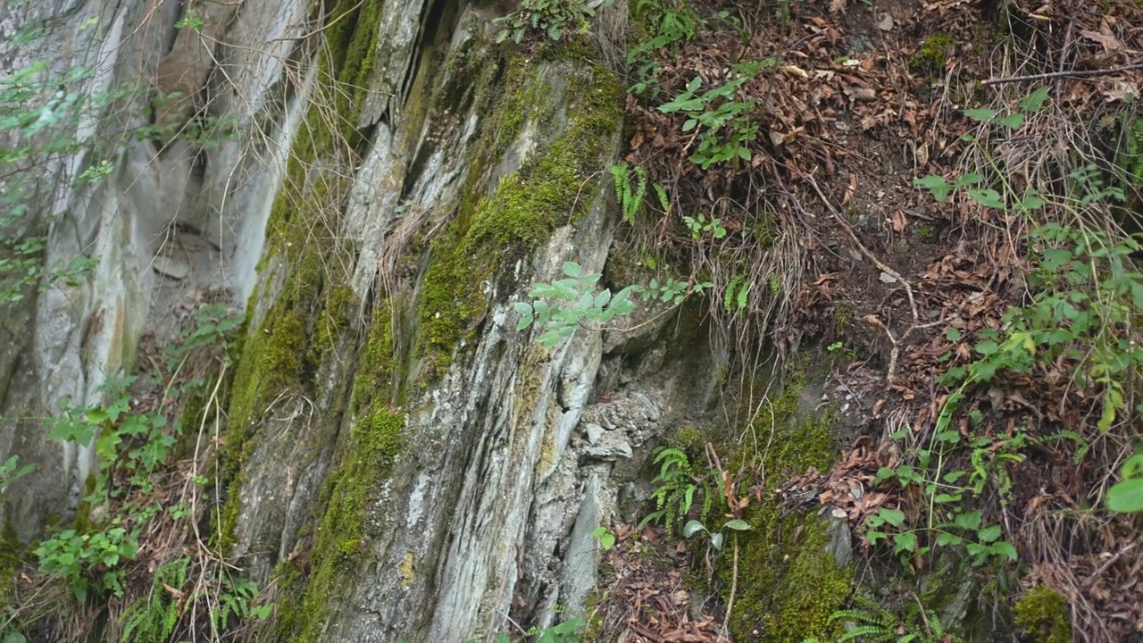 马其顿Osogovo山上的石灰岩和岩石视频素材