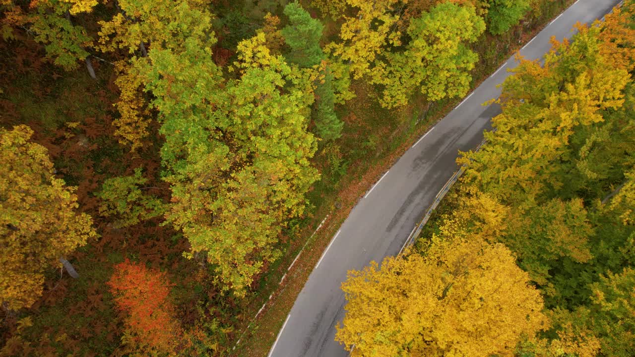 高空，从上往下:汽车沿着铺好的道路行驶，穿过五彩缤纷的秋天林地视频素材