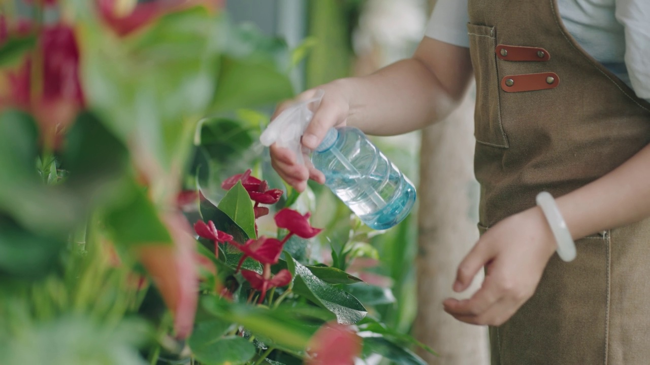 花商正在给花浇水视频素材