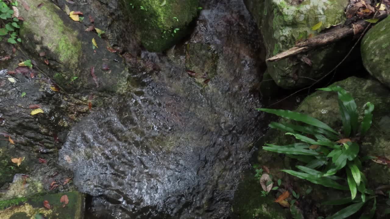 溪水在森林和岩石中流动视频素材