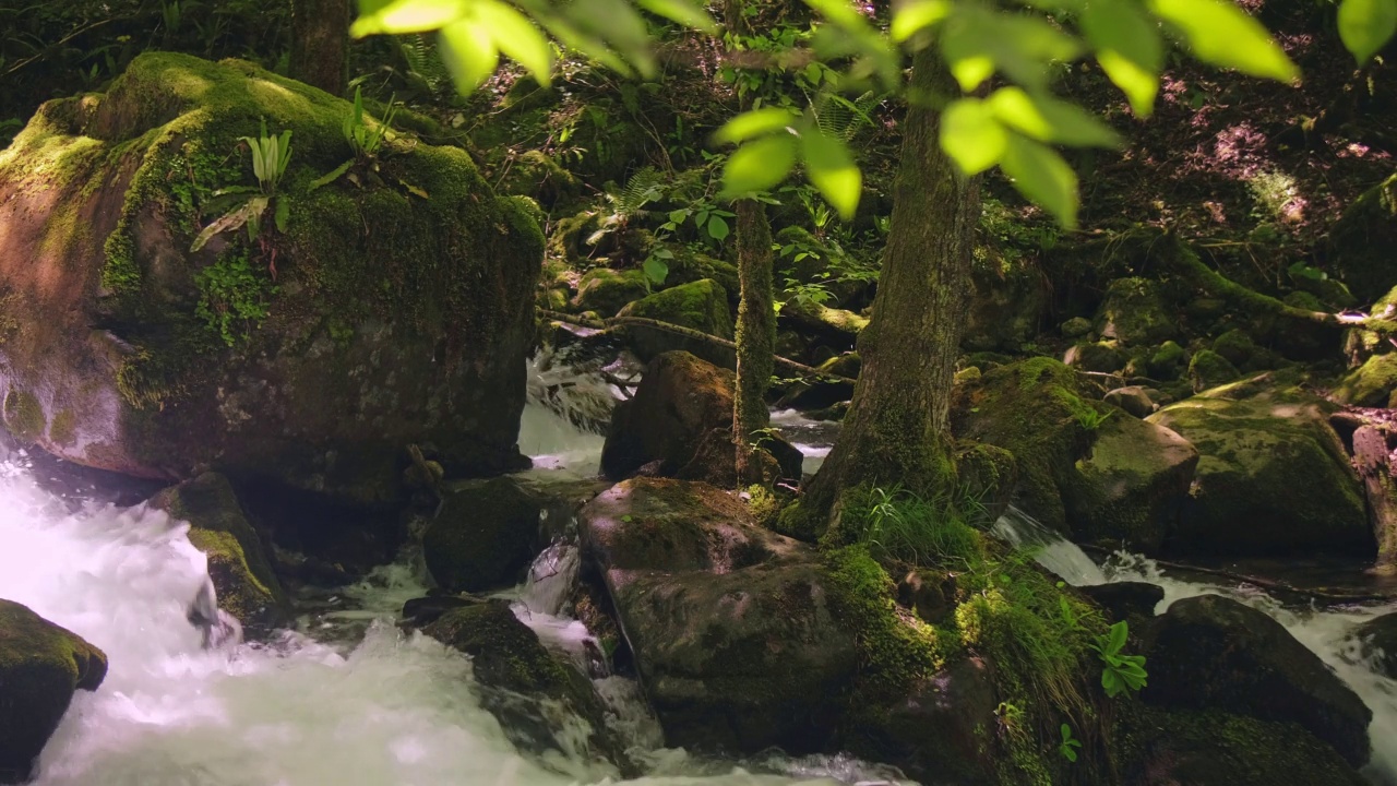 湍急的山河视频素材