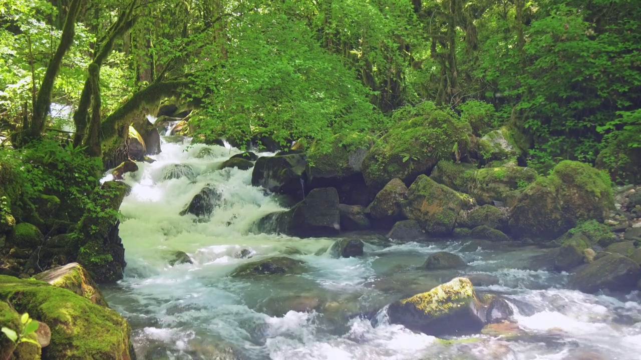 湍急的山河视频素材