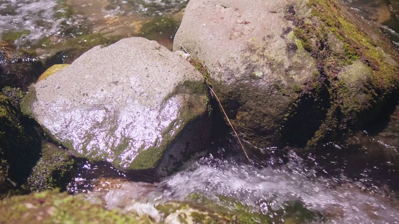 湍急的山河视频素材