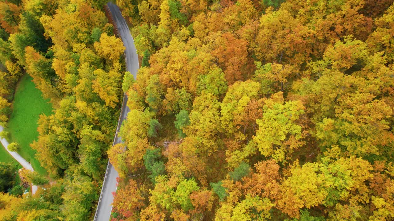 空中，从上到下:铺好的道路和小草地镶嵌在五彩缤纷的秋林中视频素材