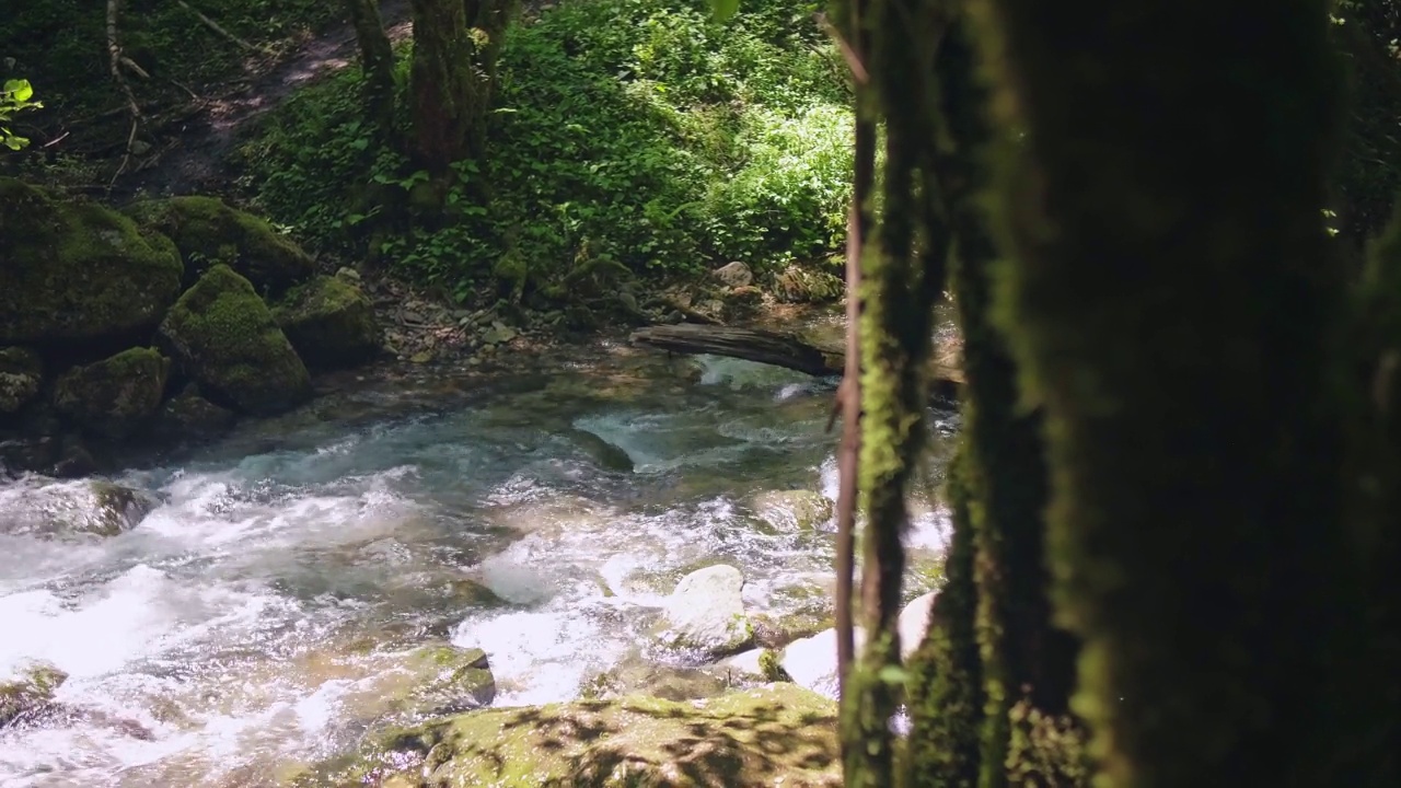 湍急的山河视频素材