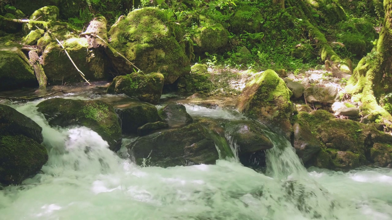 湍急的山河视频素材