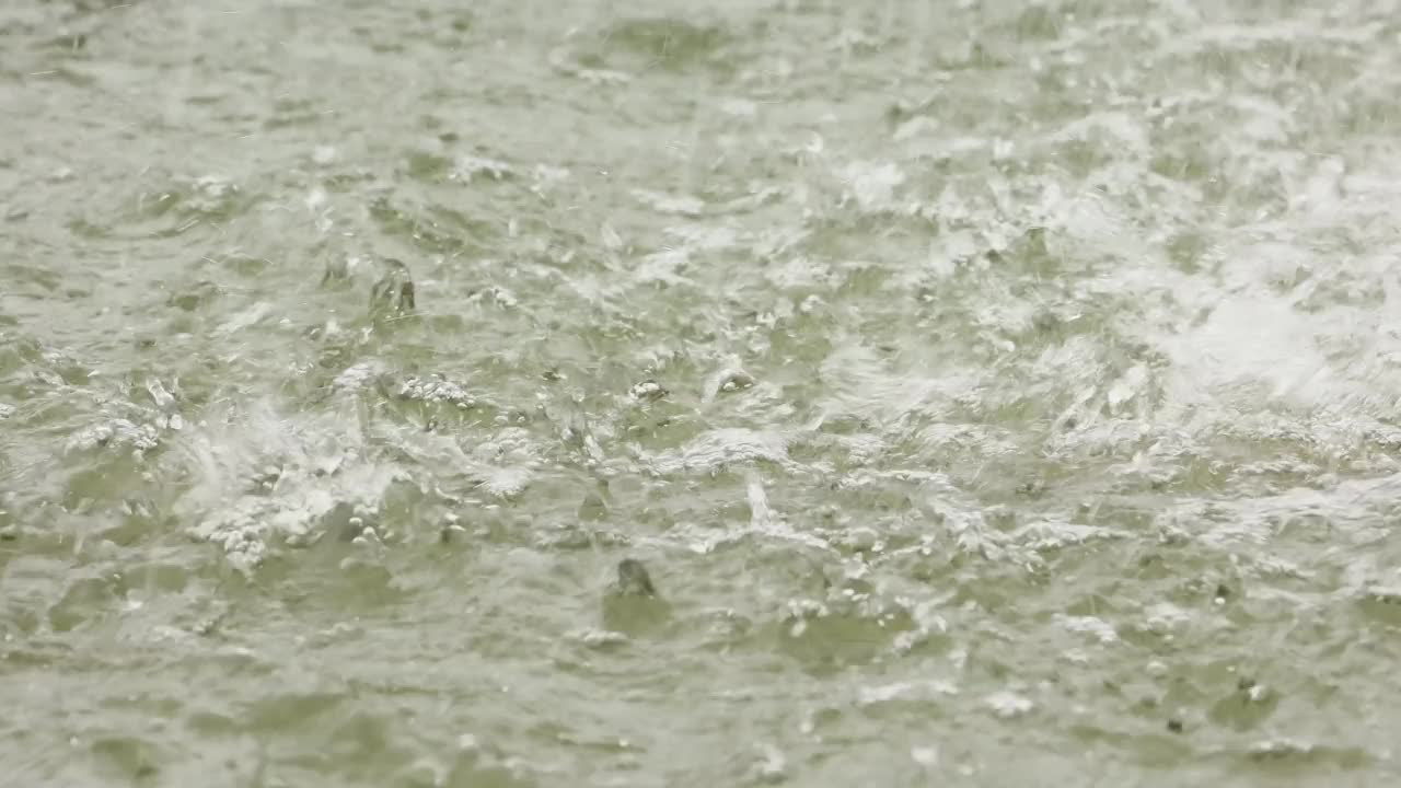 池塘里的倾盆大雨视频素材