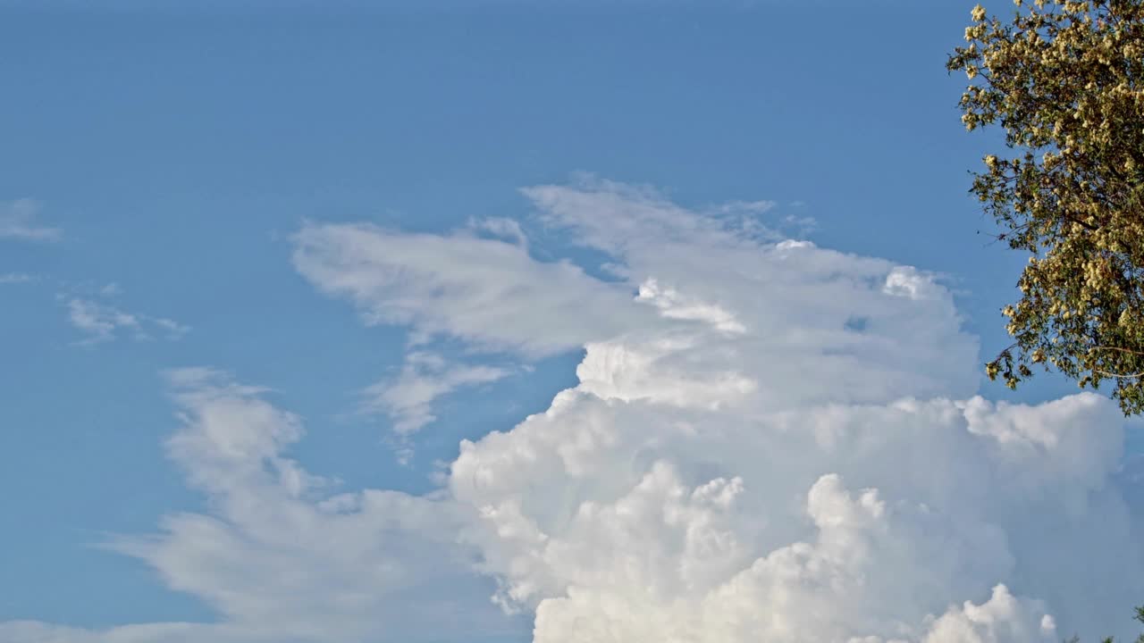 树枝和白色雨云的延时拍摄视频素材