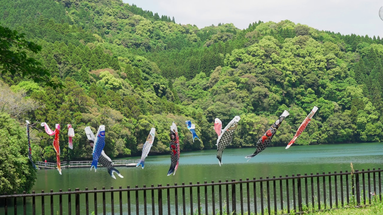 宁静的住吉池中鲤鱼飘流的景色视频素材