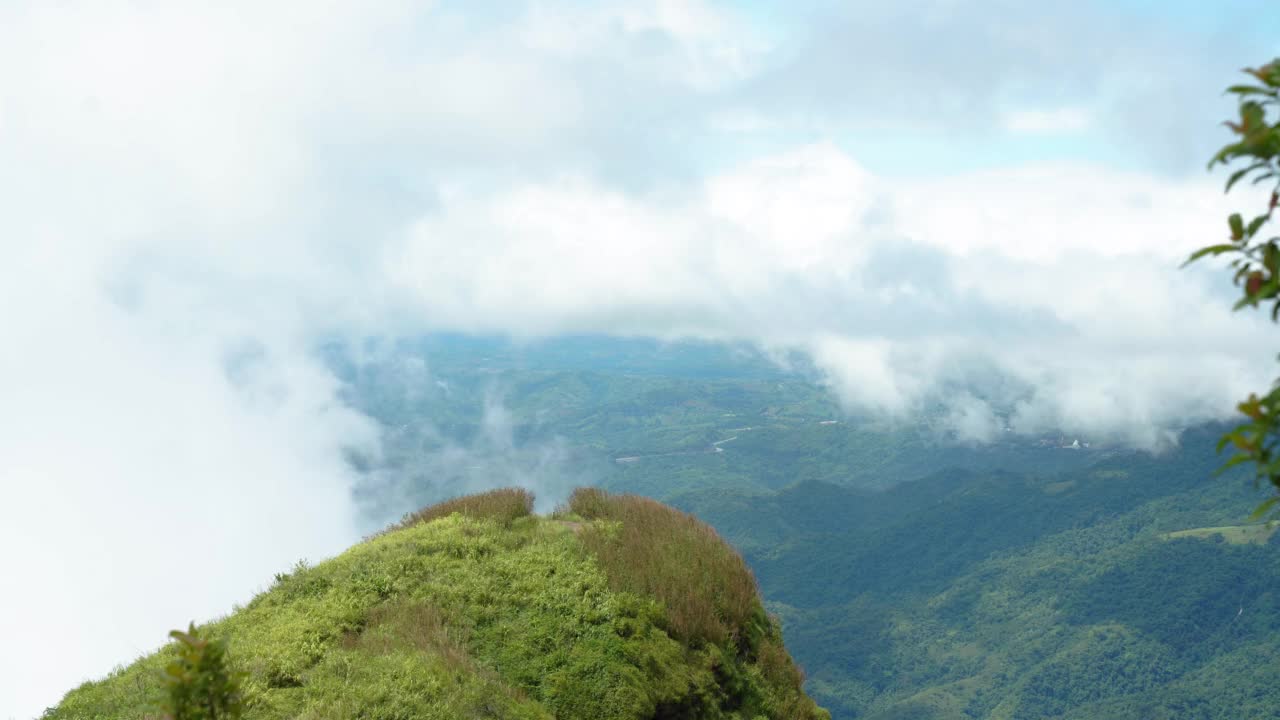 雾山景观林视频素材