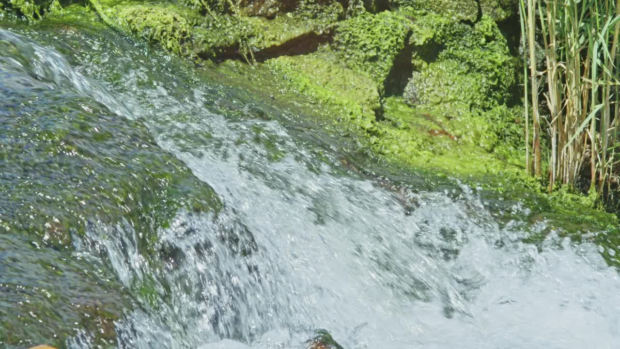 美丽的山间瀑布流过岩石，它的水冲刷着石头和树木视频素材