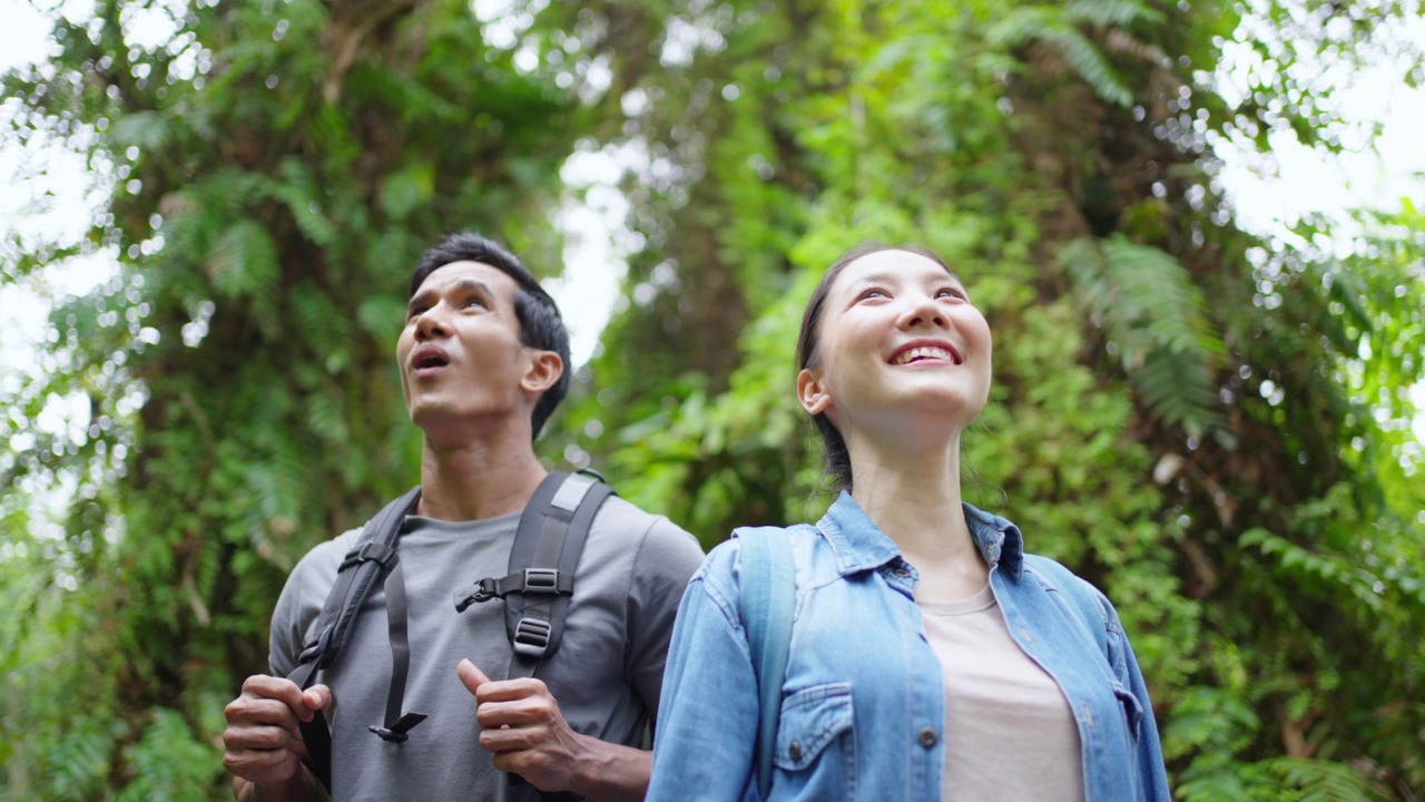 4K年轻的亚洲夫妇一起在热带森林徒步旅行。视频素材