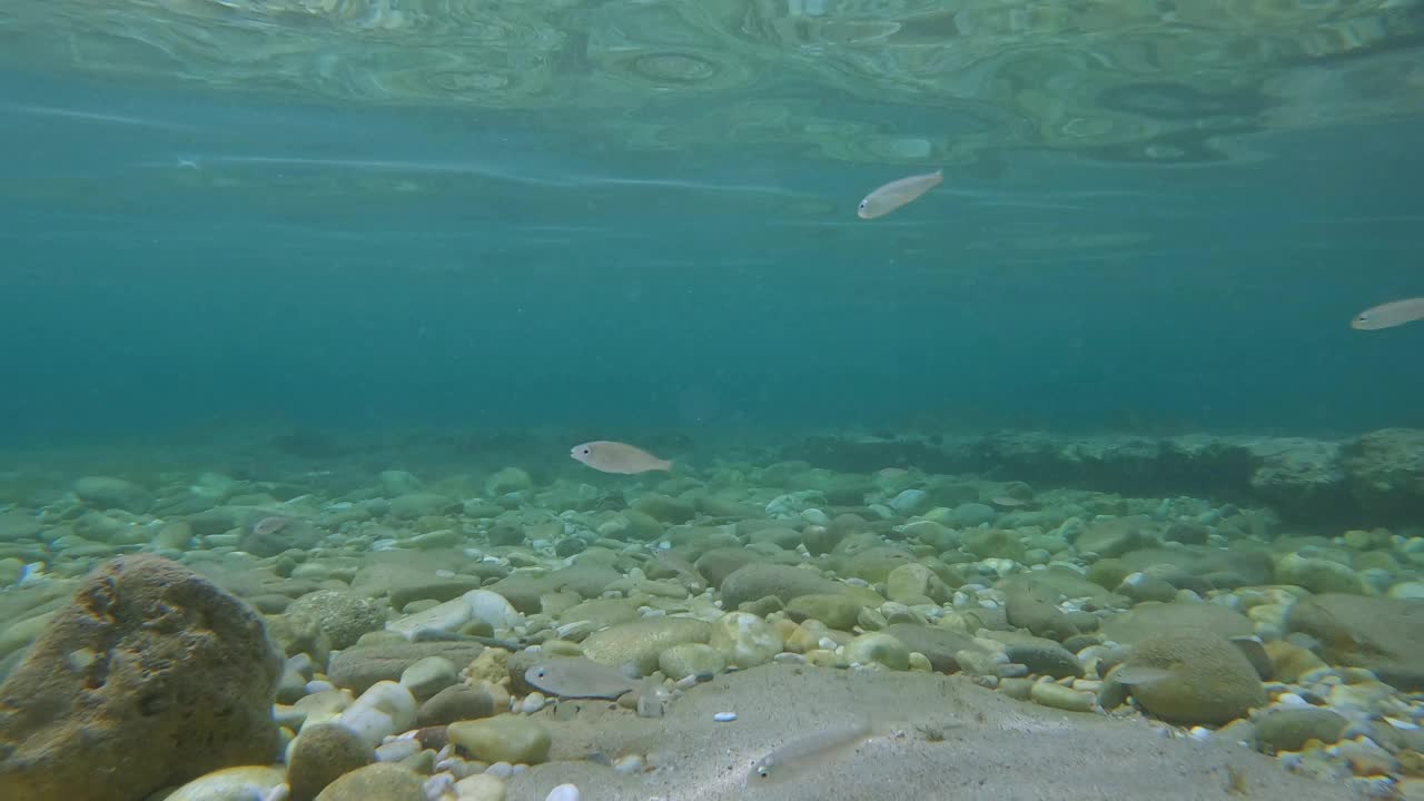 卵石海底视频素材