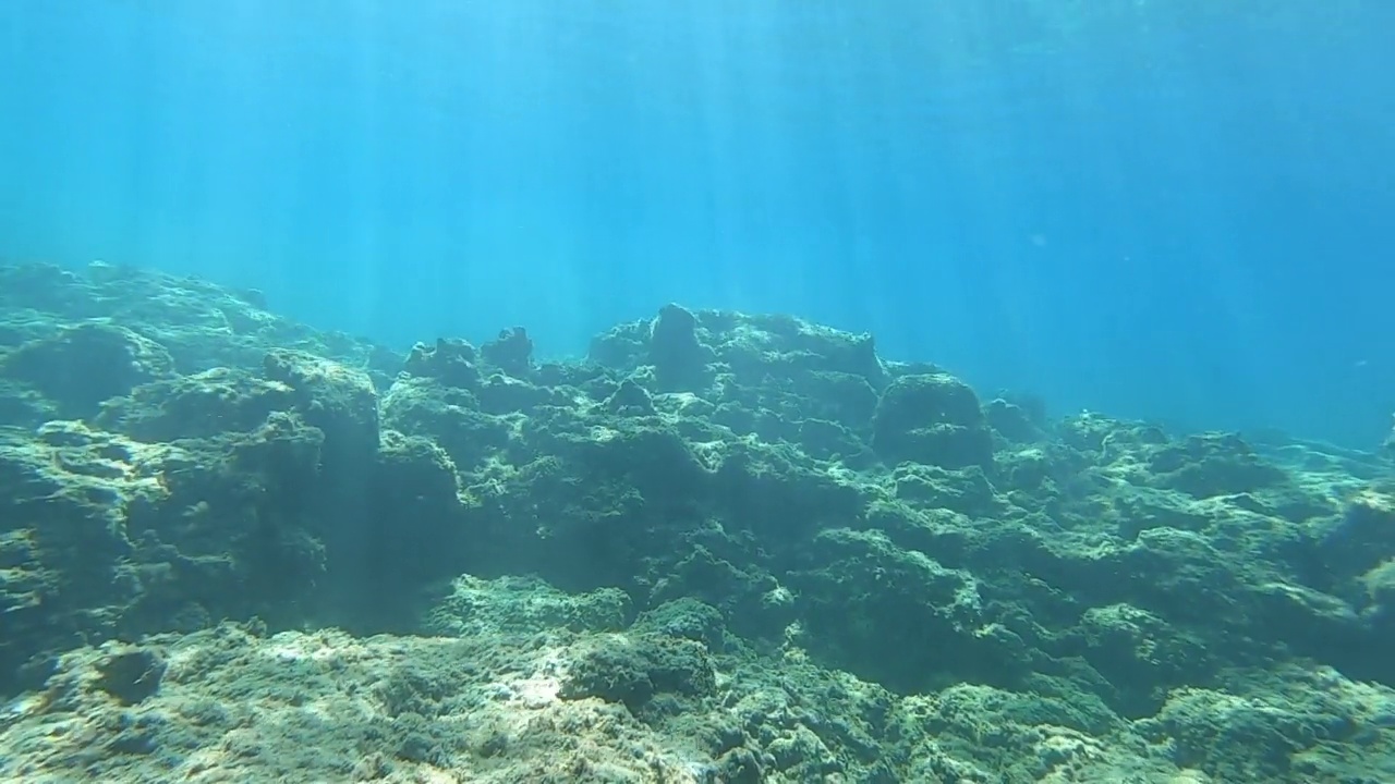 太阳光在水下视频素材