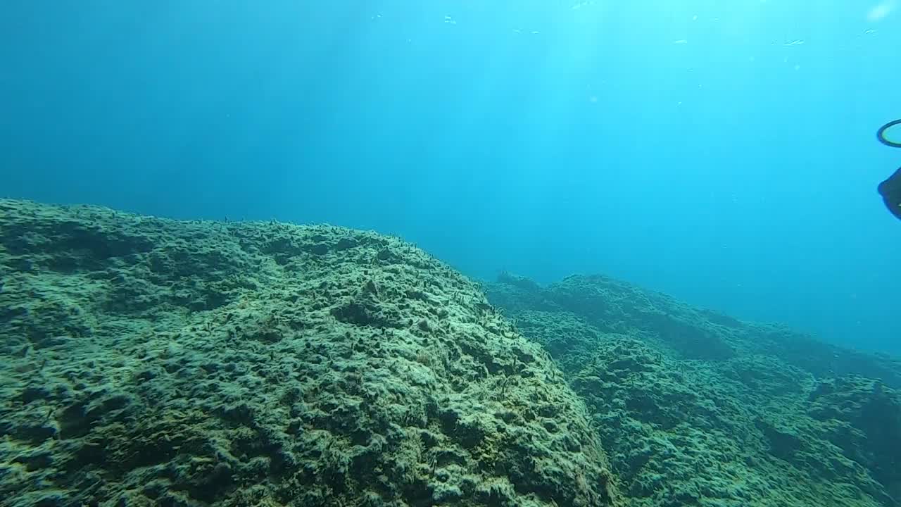 太阳光在水下视频素材