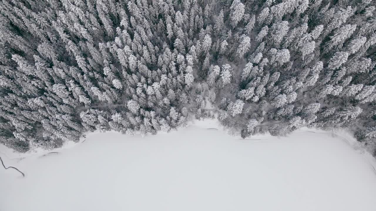 喀尔巴阡山脉冬季积雪覆盖的冰冻森林鸟瞰图视频素材