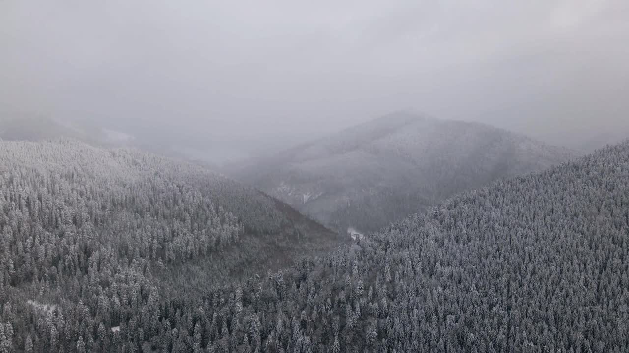 喀尔巴阡山脉冬季积雪覆盖的冰冻森林鸟瞰图视频素材