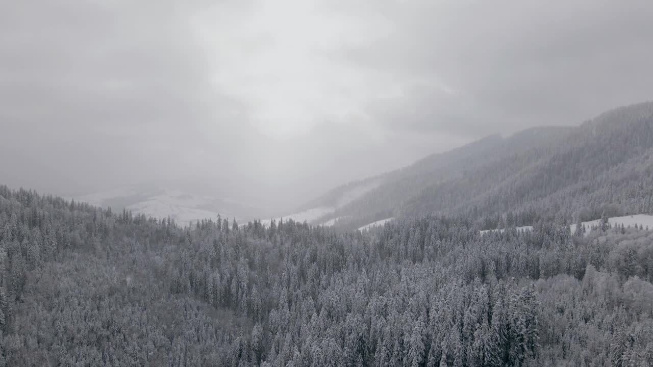 喀尔巴阡山脉冬季积雪覆盖的冰冻森林鸟瞰图视频素材