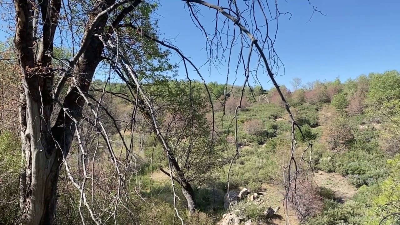 山脉丘陵林地森林徒步旅行小径自然路径远景视频素材