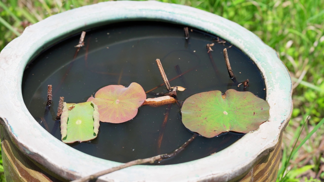 雨水收集在室外的罐子里视频素材