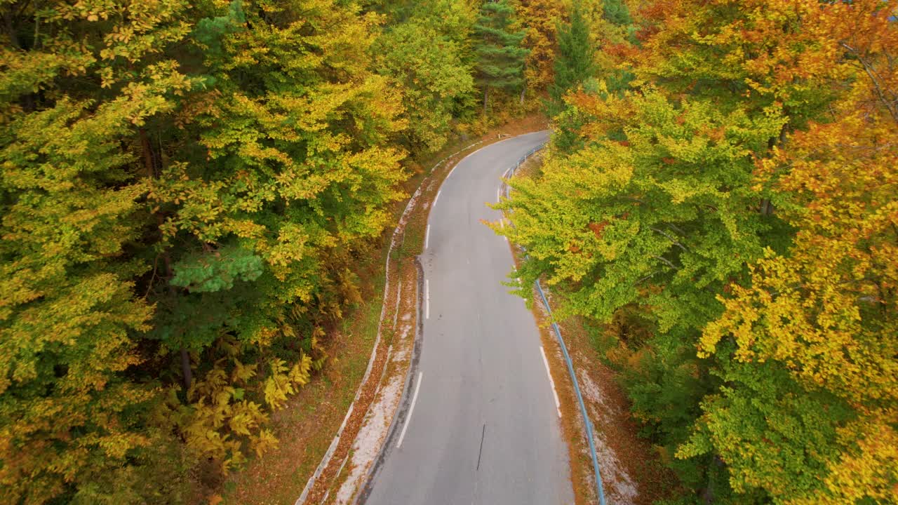 空中:铺设的道路蜿蜒穿过风景如画的森林，呈现出令人惊叹的秋色视频素材