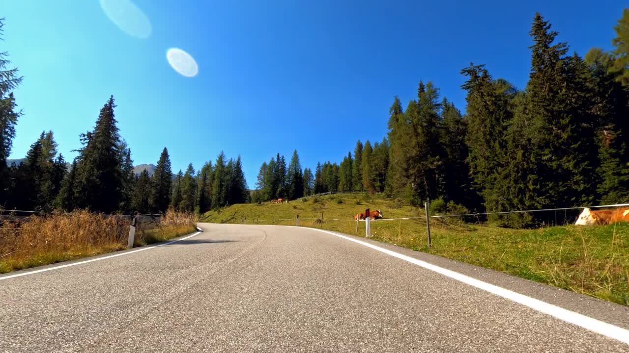 行驶在蜿蜒的山路上，周围是令人难以置信的绿色风景视频素材