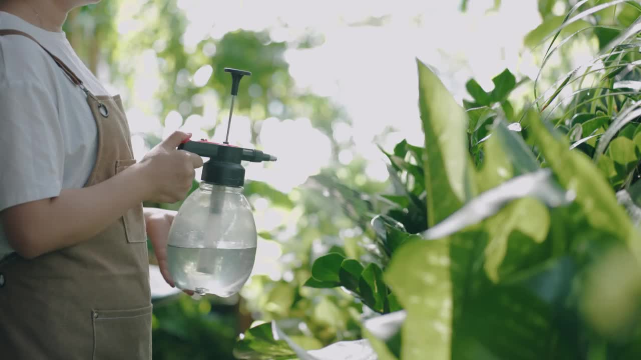 花商正在给花浇水视频素材