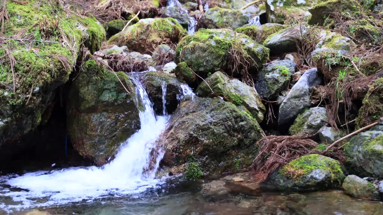 长满青苔的岩石和美丽清澈的小溪视频素材