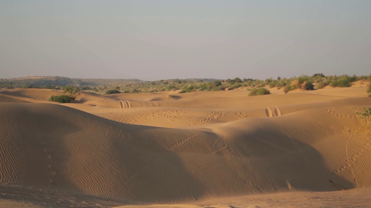 手持拍摄的沙丘在萨姆沙沙丘在Jaisalmer在拉贾斯坦邦，印度。印度塔尔沙漠的沙丘。沙丘景观拍摄。沙漠背景。视频素材