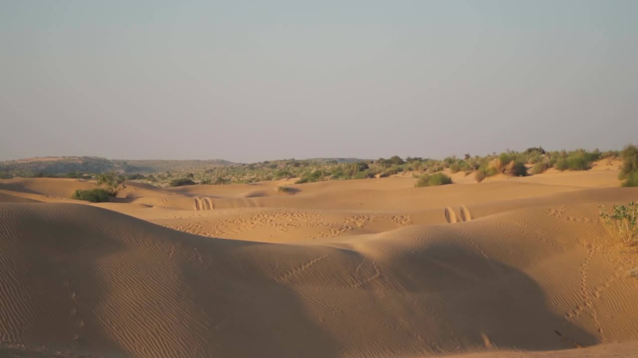 手持拍摄的沙丘在萨姆沙沙丘在Jaisalmer在拉贾斯坦邦，印度。印度塔尔沙漠的沙丘。沙丘景观拍摄。沙漠背景。视频素材