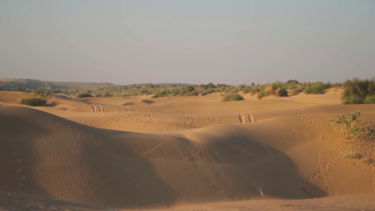 手持拍摄的沙丘在萨姆沙沙丘在Jaisalmer在拉贾斯坦邦，印度。印度塔尔沙漠的沙丘。沙丘景观拍摄。沙漠背景。视频素材