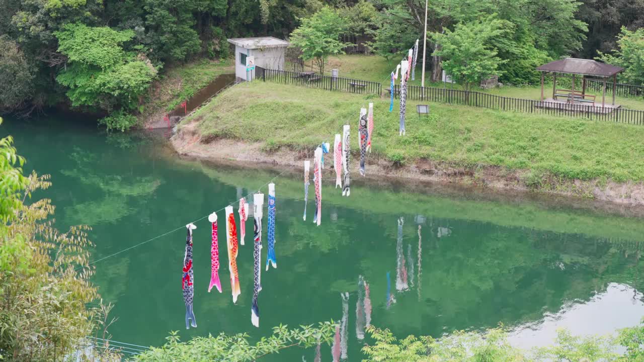 五月住吉塘景色，鲤鱼飘流视频素材