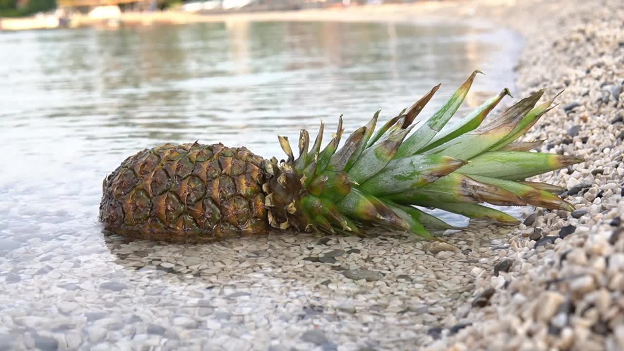 海边的菠萝被海浪冲刷着视频素材