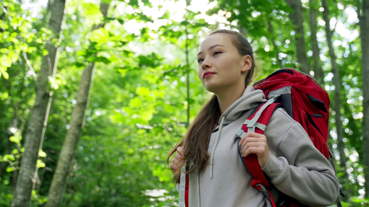 年轻女子徒步旅行与野生森林自然结合视频素材