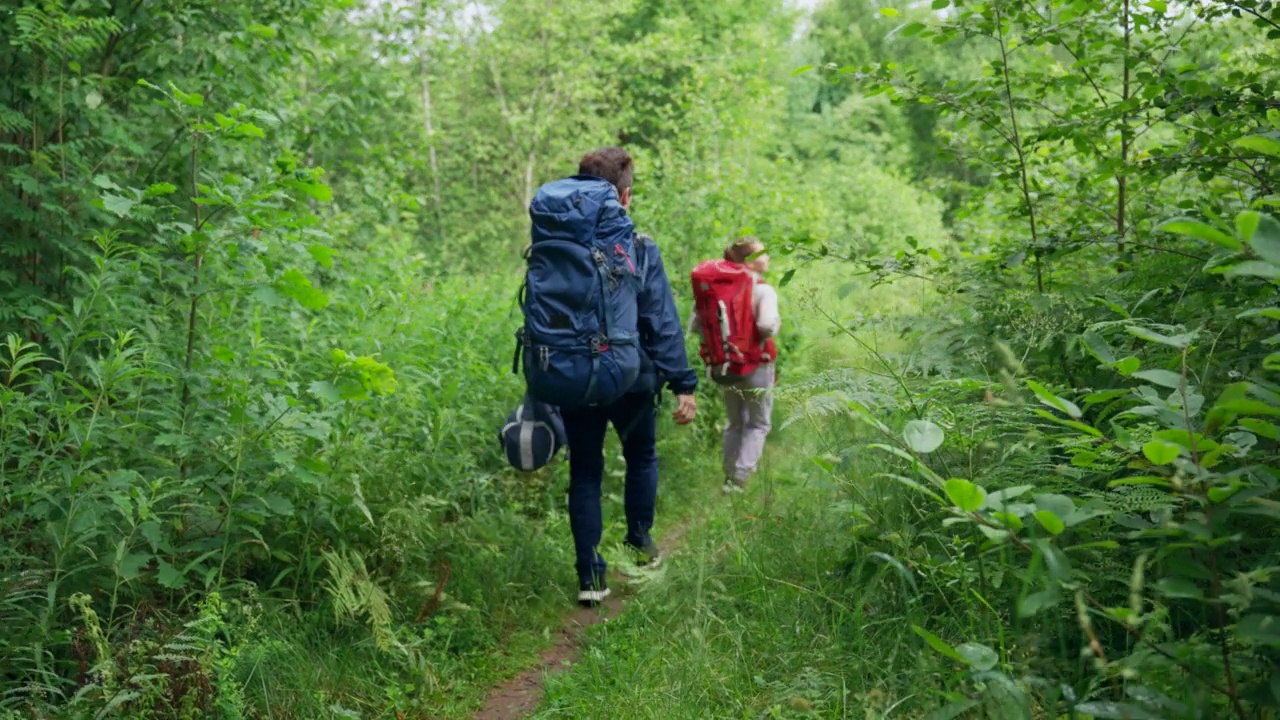 一对年轻的徒步旅行者试图寻找森林露营的地方视频素材