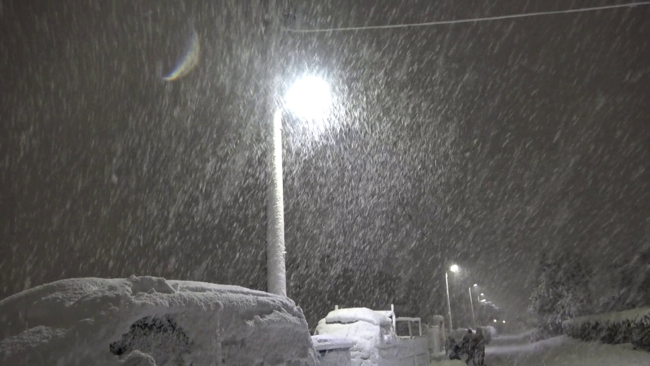 城市街道上的夜间暴风雪视频下载