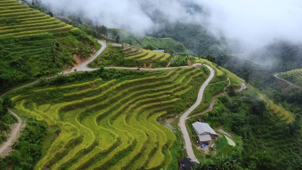 鸟瞰图在群山之间，稻田，围绕着绿色的森林树木和棕榈树在一个亚洲村庄视频素材