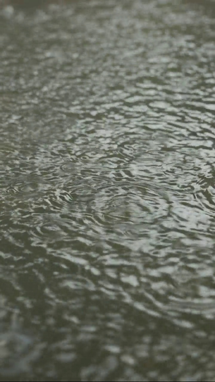 垂直视频:雨滴落进人行道上的水坑的特写。城里下起了暴雨。视频素材