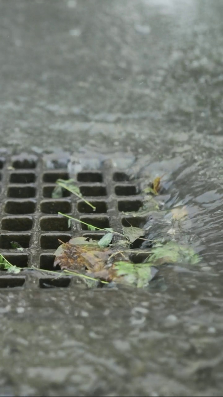 垂直视频:特写的雨水流进雨水沟。城里下起了暴雨。慢动作视频素材