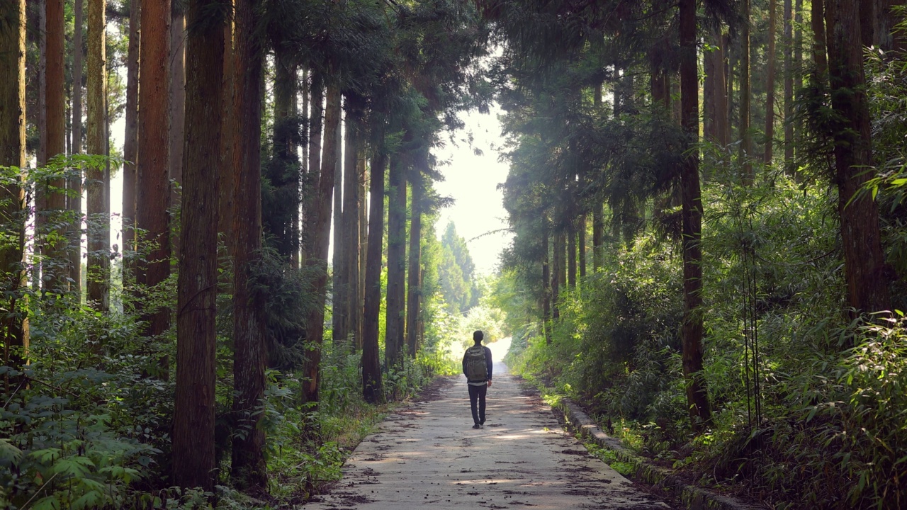 背包客独自在森林小路上旅行视频素材