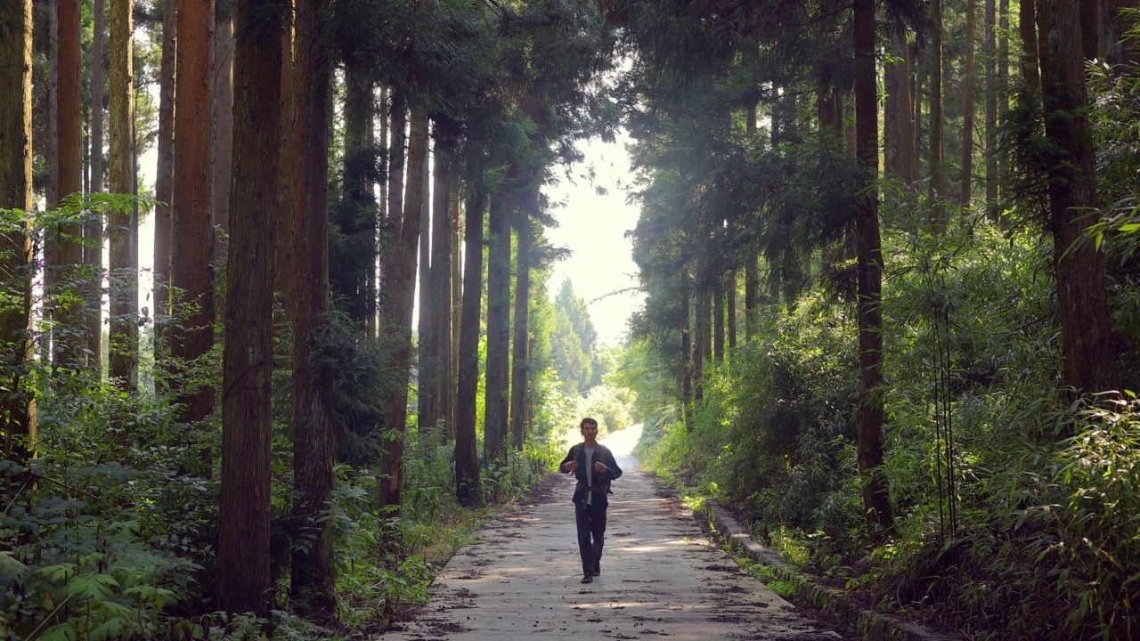 背包客独自在森林小路上旅行视频素材