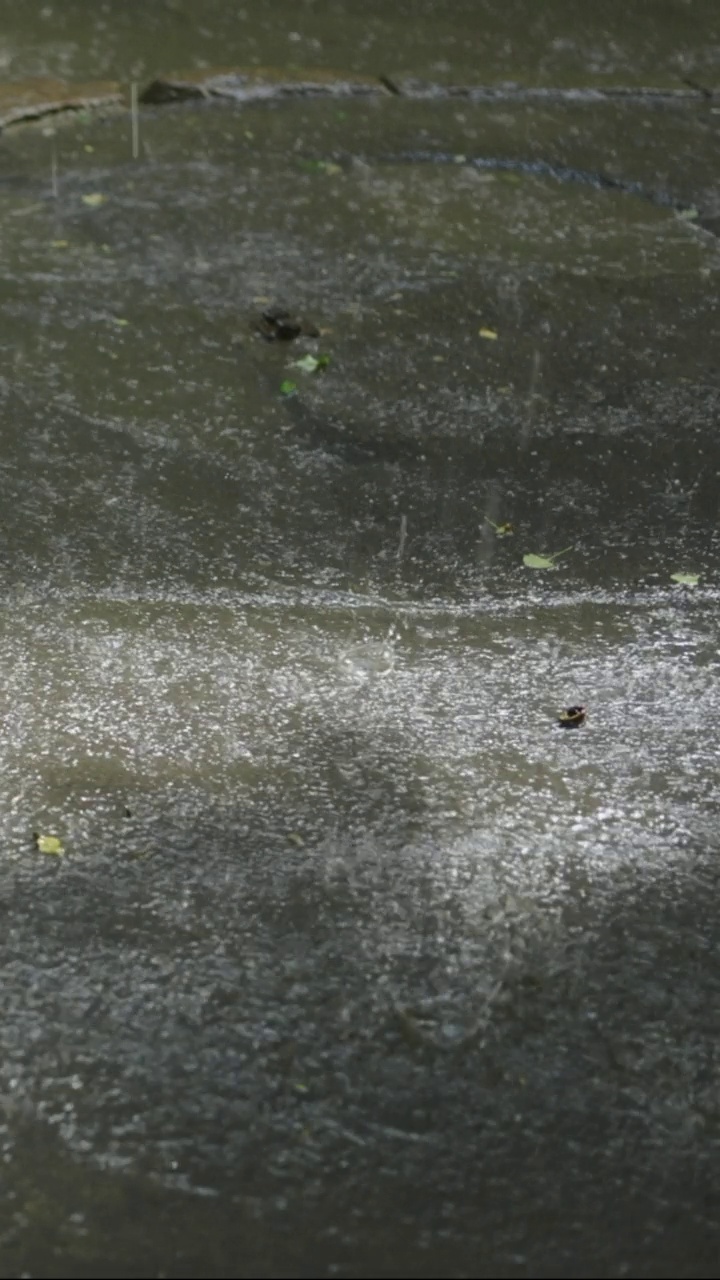 垂直视频:雨滴和冰雹落在沥青上的特写。慢动作视频素材