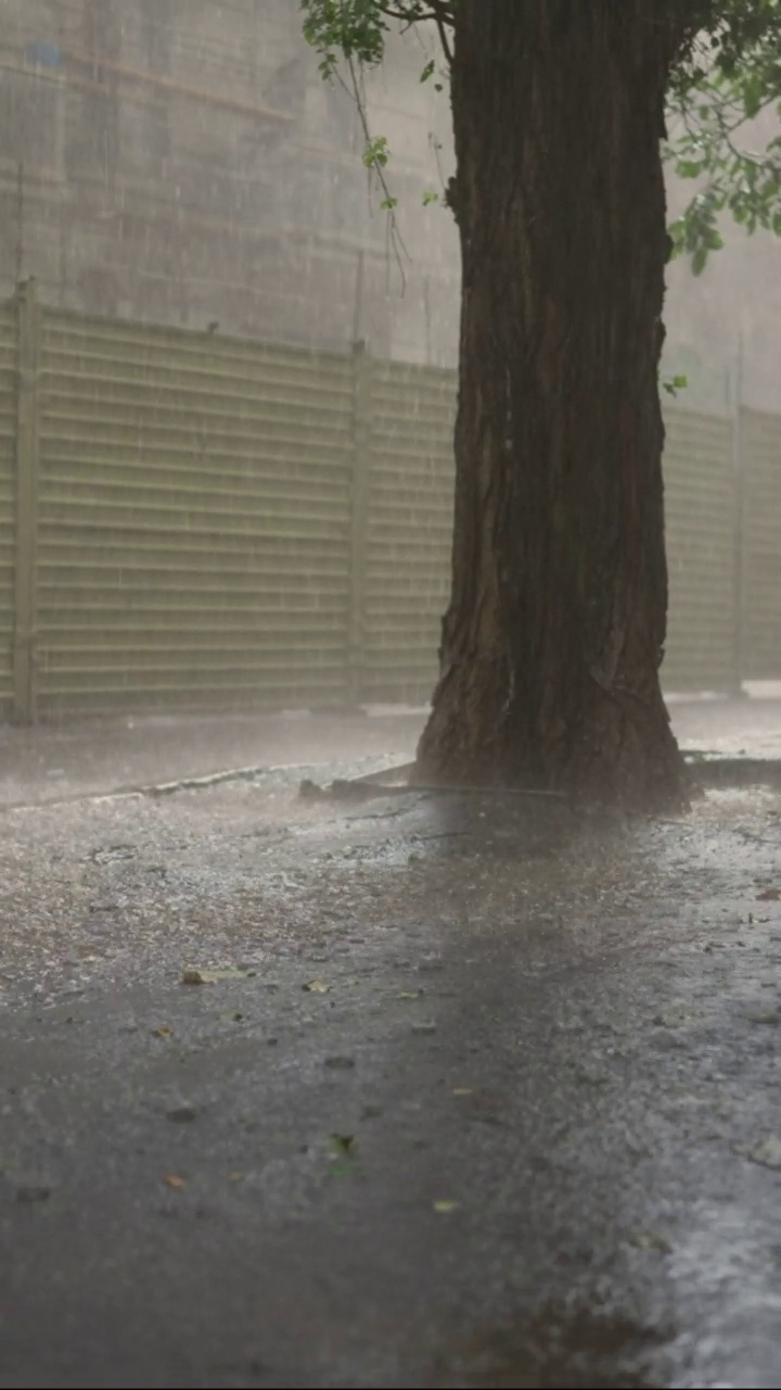 垂直视频:城市里的暴雨。雨滴落在柏油路上视频素材