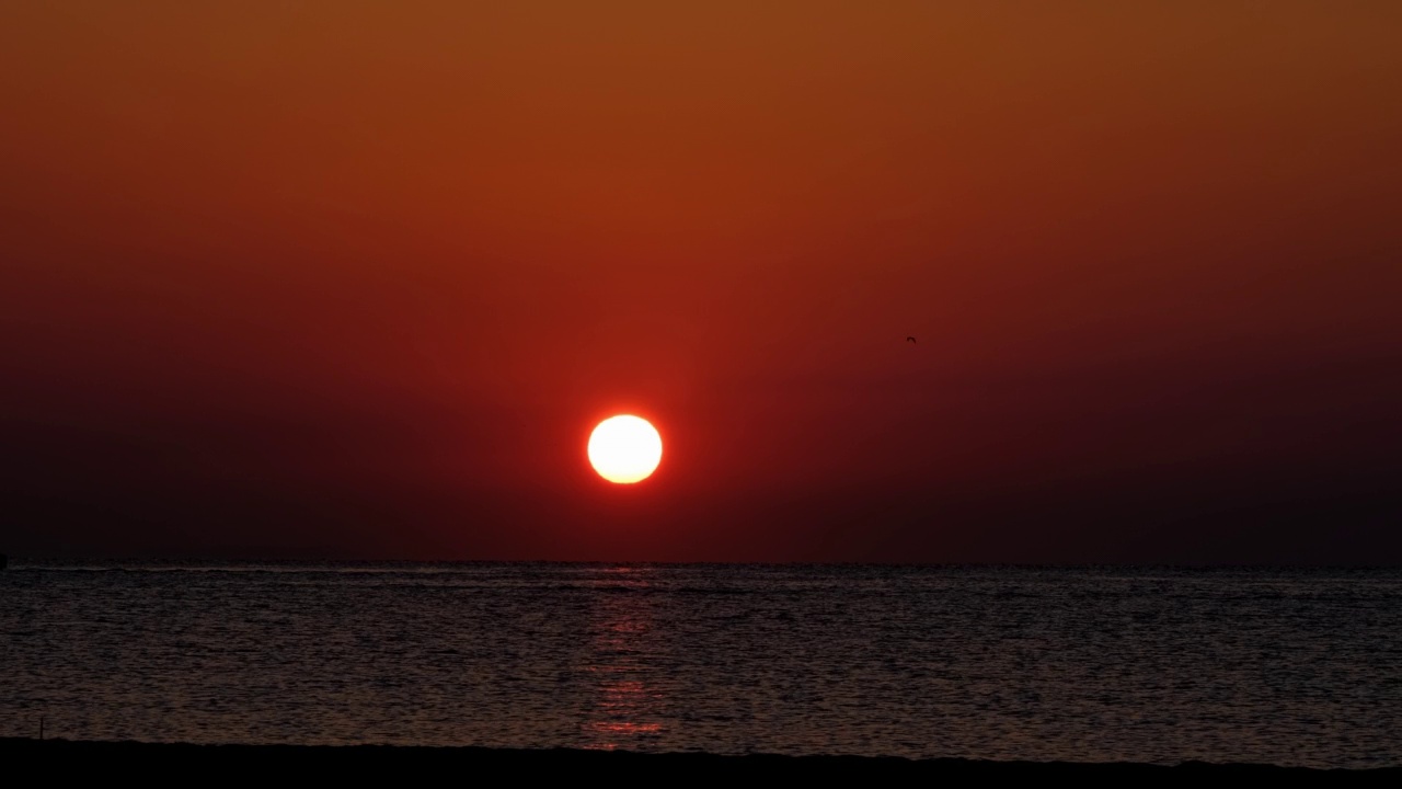 美丽的海上日出视频素材