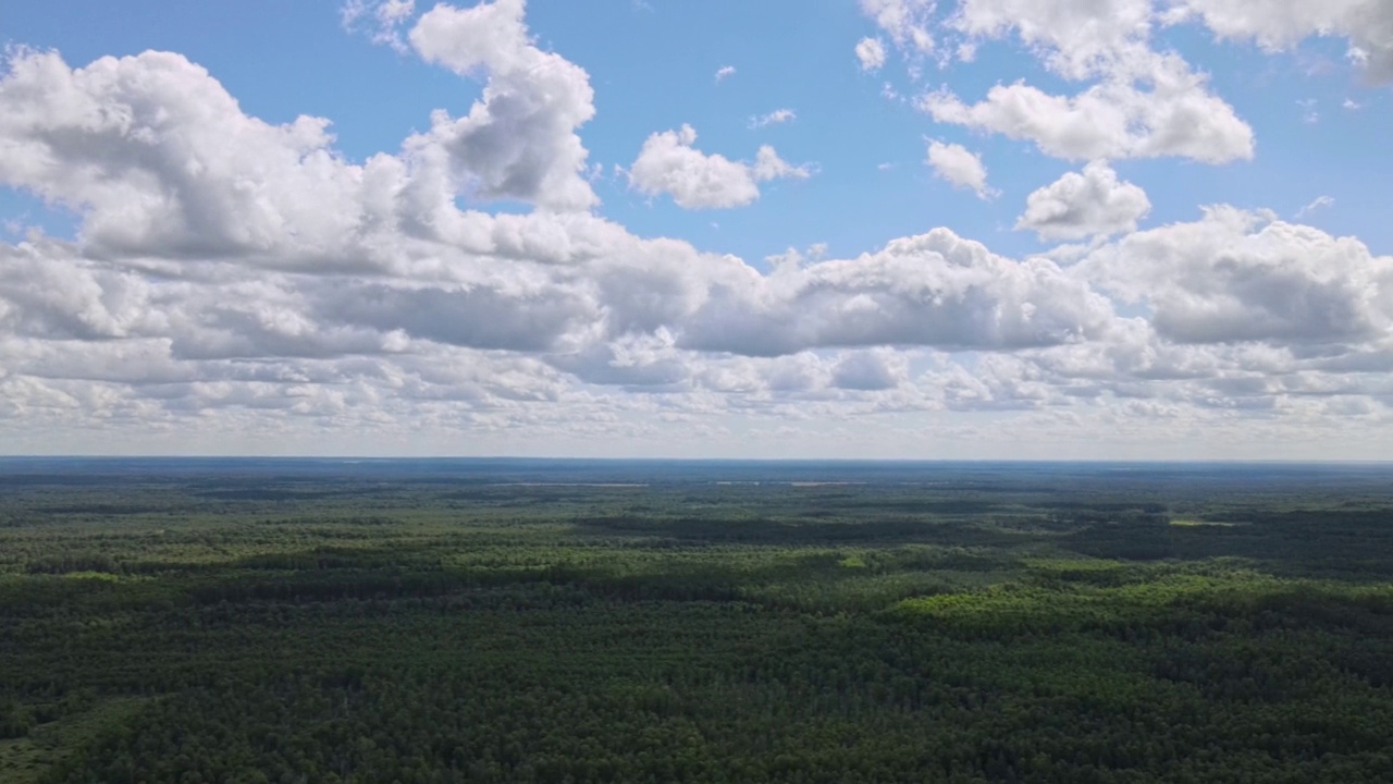 蓝天的全景，云在绿色的树的顶部。蓝天白云柔和。白云的背景。视频下载