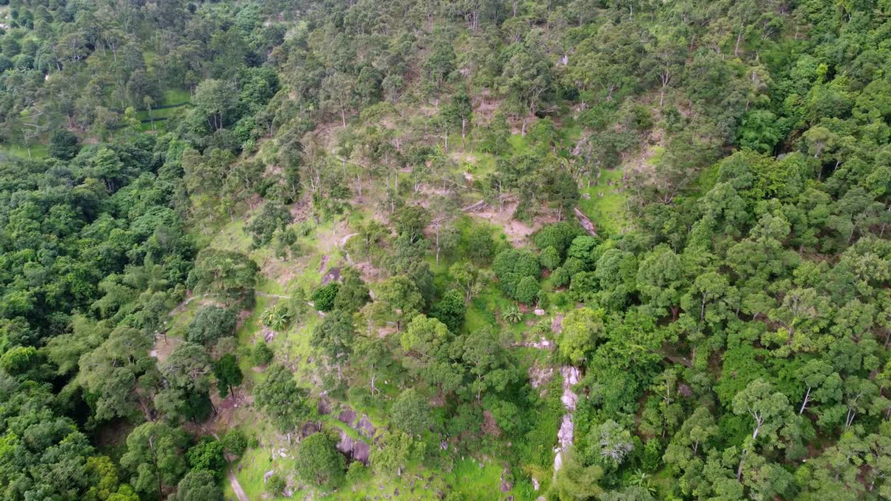 鸟瞰山间榴莲农场视频素材