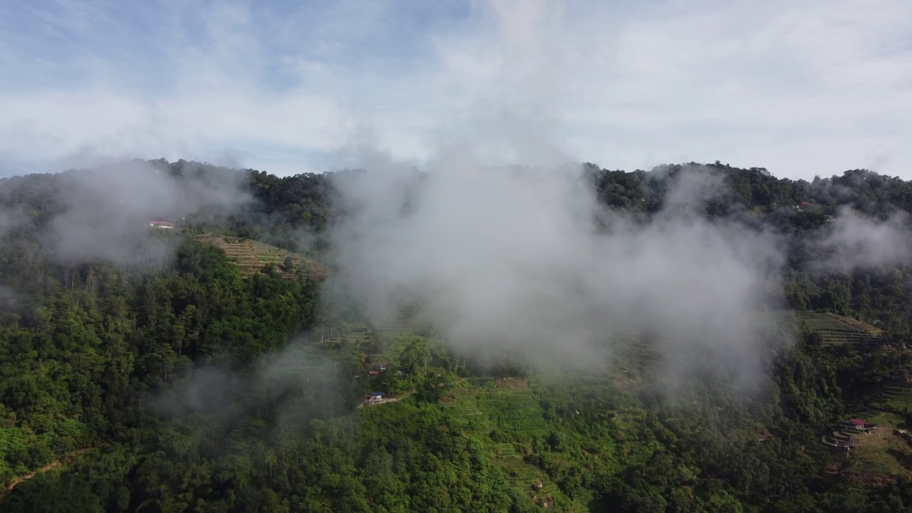 空中飞越低云，飞向种植园视频素材